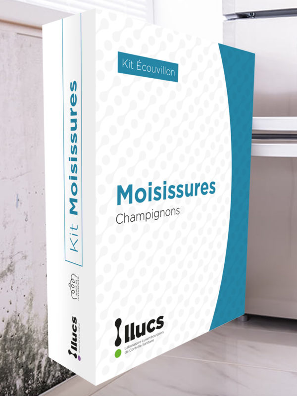 Kit Moisissures : Champignons - Moisissures visibles